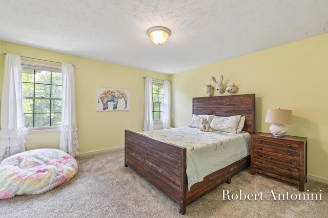 6374 Blakely Dr NE, Rockford, MI 49341 - bedroom featuring carpet flooring, multiple windows, baseboards, and a textured ceiling