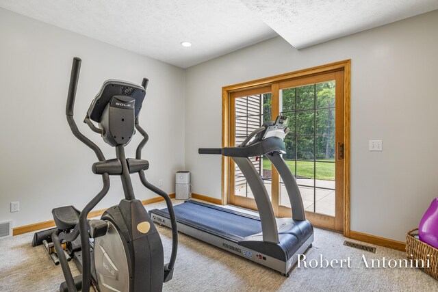 6374 Blakely Dr NE, Rockford, MI 49341 - exercise room featuring baseboards, carpet floors, a textured ceiling, and recessed lighting