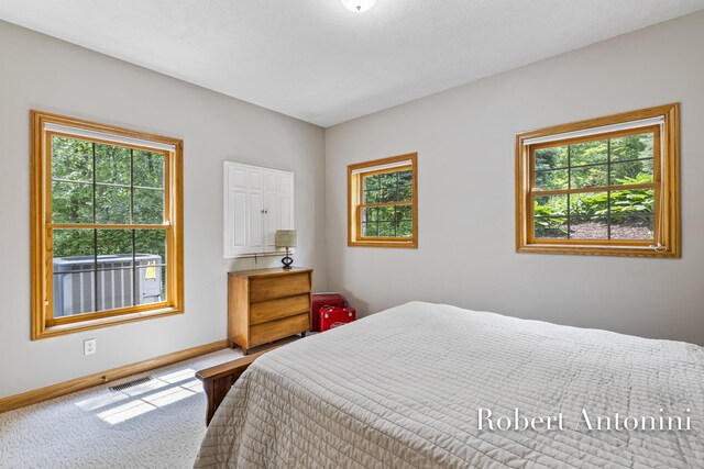 6374 Blakely Dr NE, Rockford, MI 49341 - bedroom with carpet, multiple windows, and baseboards