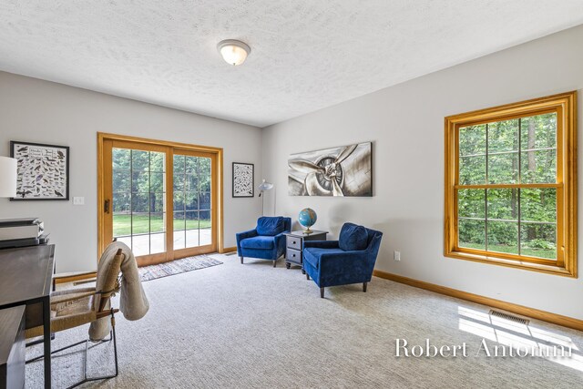 6374 Blakely Dr NE, Rockford, MI 49341 - office space with carpet, baseboards, and a textured ceiling