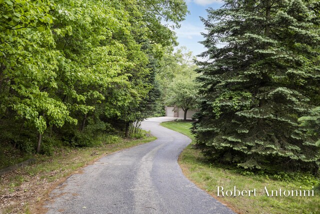 6374 Blakely Dr NE, Rockford, MI 49341 - view of asphalt driveway