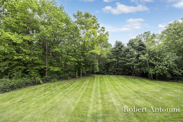 6374 Blakely Dr NE, Rockford, MI 49341 - view of yard