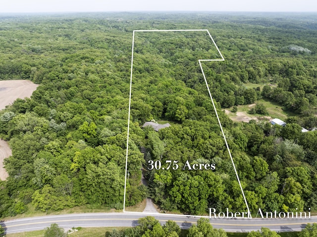 6374 Blakely Dr NE, Rockford, MI 49341 - aerial view of property's location featuring a heavily wooded area and property parcel outlined
