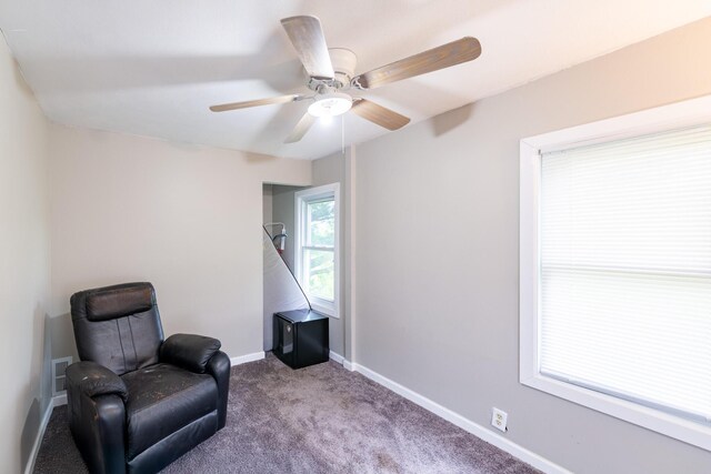 15551 Mason St, Union, MI 49130 - photo 29