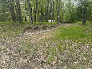 9846 W Ox Path St, Baldwin, MI 49304