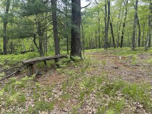9846 W Ox Path St, Baldwin, MI 49304