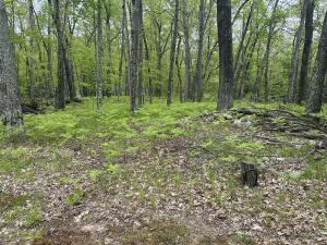 9846 W Ox Path St, Baldwin, MI 49304
