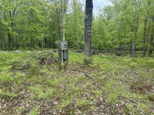 9846 W Ox Path St, Baldwin, MI 49304