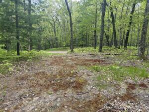 9846 W Ox Path St, Baldwin, MI 49304