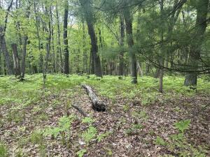 9846 W Ox Path St, Baldwin, MI 49304