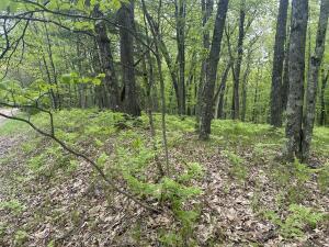 9846 W Ox Path St, Baldwin, MI 49304