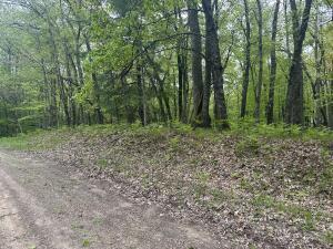 9846 W Ox Path St, Baldwin, MI 49304