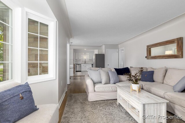 3020 Cascade Rd SE, Grand Rapids, MI 49506 - living room with wood finished floors