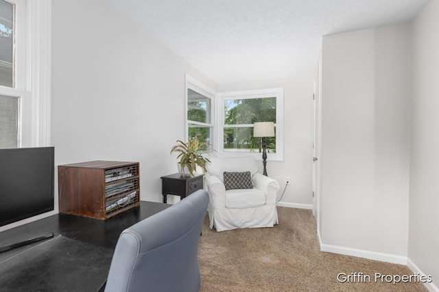 3020 Cascade Rd SE, Grand Rapids, MI 49506 - sitting room featuring carpet, baseboards, and an office area