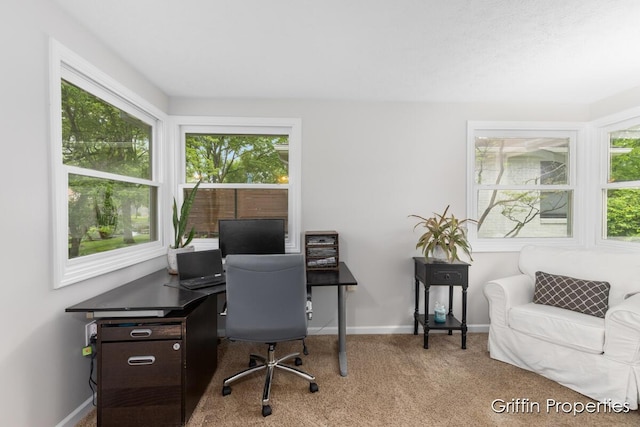 3020 Cascade Rd SE, Grand Rapids, MI 49506 - carpeted home office with plenty of natural light and baseboards