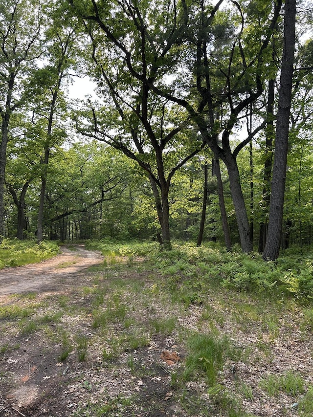 Forest St, Twin Lake, MI 49457