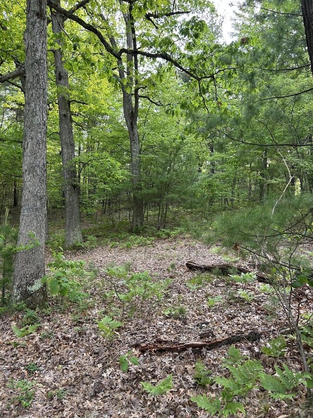 Forest St, Twin Lake, MI 49457
