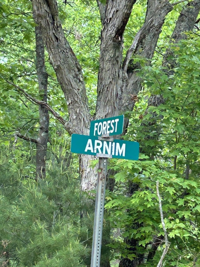 Forest St, Twin Lake, MI 49457