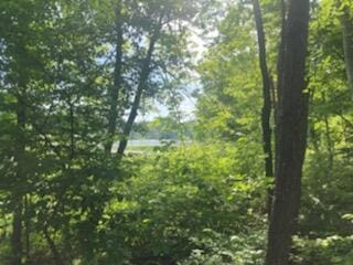 Garr Rd, Berrien Springs, MI 49103