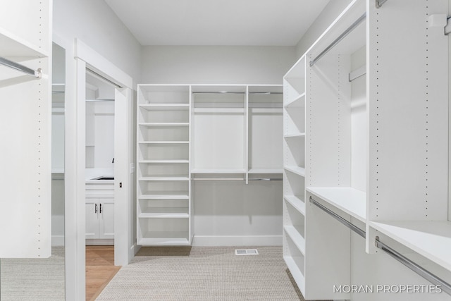 12607 76th Ave, Allendale, MI 49401 - view of walk in closet