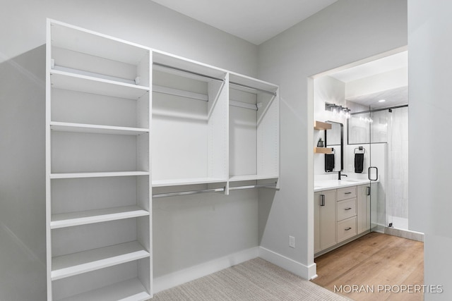 12607 76th Ave, Allendale, MI 49401 - walk in closet with a sink