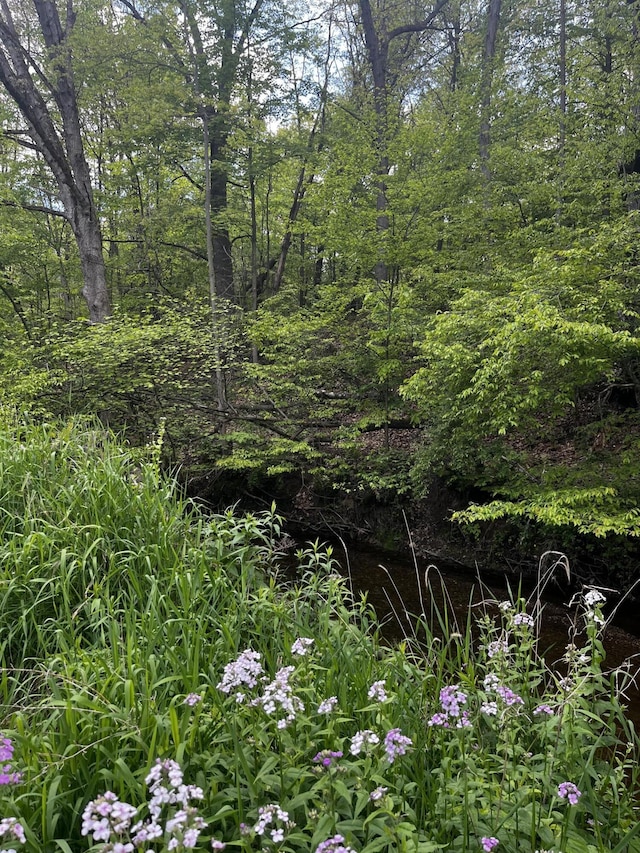 5650 Morrison Lake Rd, Saranac, MI 48881