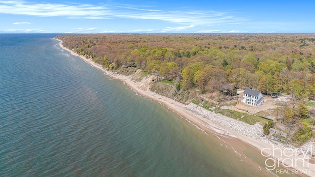 2576 Lakeshore Dr, Fennville, MI 49408 - photo 33