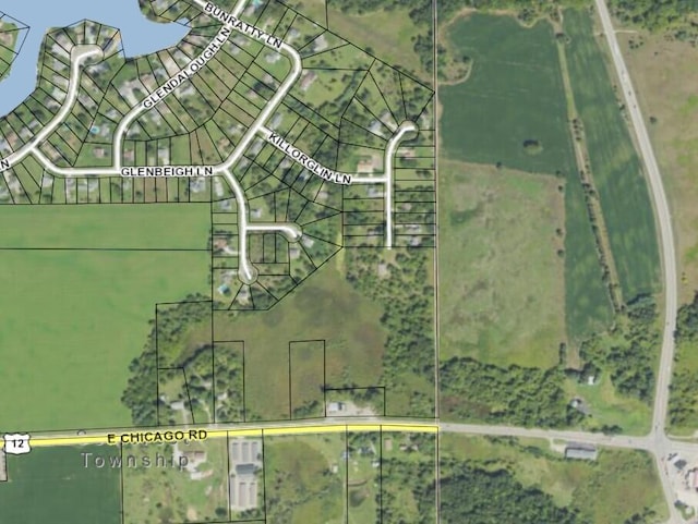 V/L E Chicago Rd, Cement City, MI 49233 - photo 8