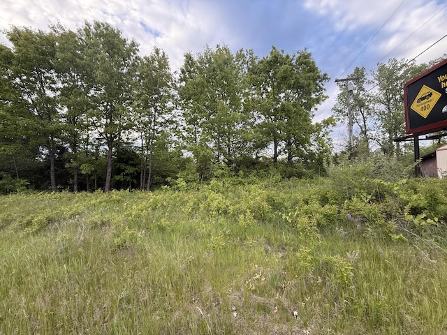 V/L E Chicago Rd, Cement City, MI 49233 - photo 10
