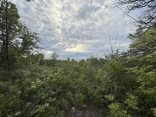 V/L E Chicago Rd, Cement City, MI 49233 - photo 11