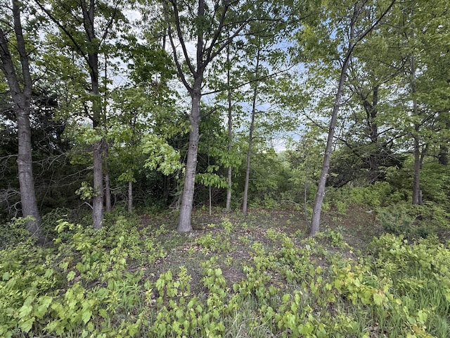 V/L E Chicago Rd, Cement City, MI 49233 - photo 12