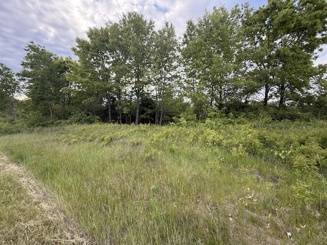 V/L E Chicago Rd, Cement City, MI 49233 - photo 13