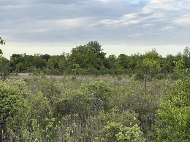 V/L E Chicago Rd, Cement City, MI 49233 - photo 15