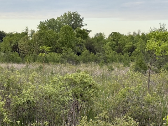 V/L E Chicago Rd, Cement City, MI 49233 - photo 16