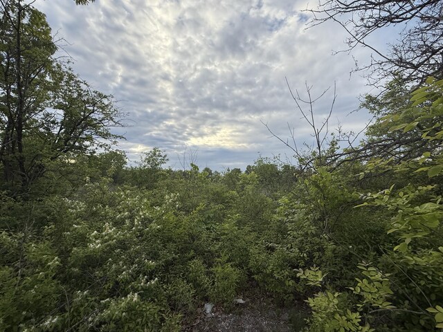V/L E Chicago Rd, Cement City, MI 49233 - photo 17
