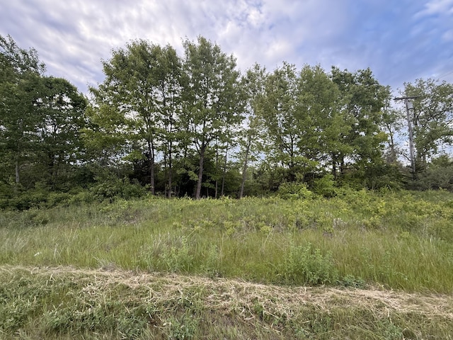 V/L E Chicago Rd, Cement City, MI 49233 - photo 19