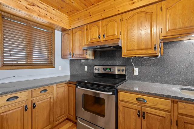 125 Wa Wee Nork Dr Unit 109-5-A, Battle Creek, MI 49015 - kitchen featuring electric stove, under cabinet range hood, decorative backsplash, and brown cabinetry