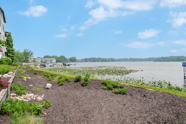 125 Wa Wee Nork Dr Unit 109-5-A, Battle Creek, MI 49015 - view of yard featuring a water view