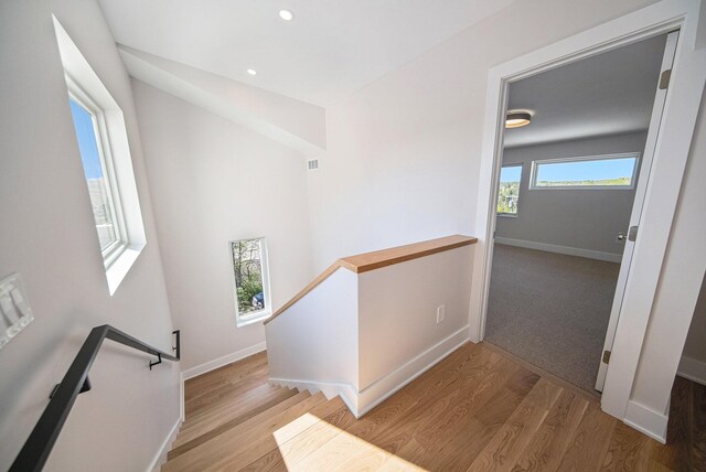 207 Sunset Rd, Ann Arbor, MI 48103 - photo 16