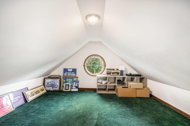 1415 Blackhawk Trl, Benton Harbor, MI 49022 - additional living space with carpet and vaulted ceiling