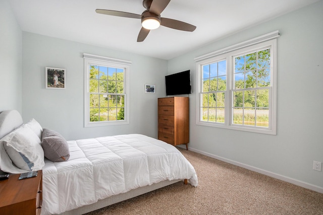 1415 Blackhawk Trl, Benton Harbor, MI 49022 - bedroom featuring carpet and ceiling fan