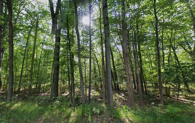 8073 W 10 1/2 Mile Rd, Irons, MI 49644 - photo 2