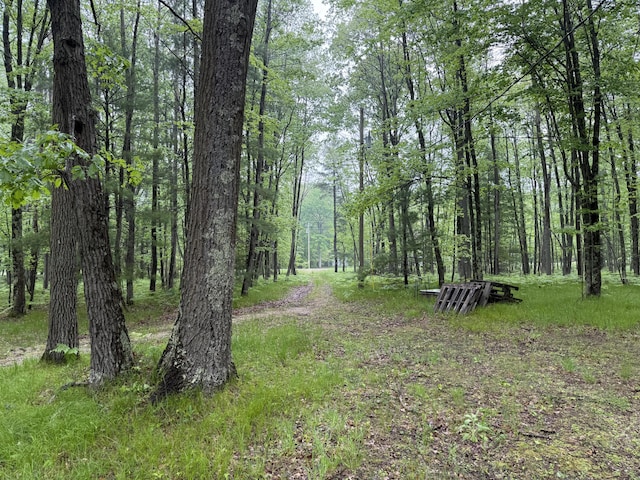 8073 W 10 1/2 Mile Rd, Irons, MI 49644 - photo 7
