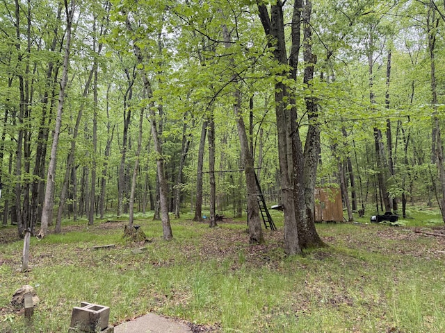 8073 W 10 1/2 Mile Rd, Irons, MI 49644 - photo 9