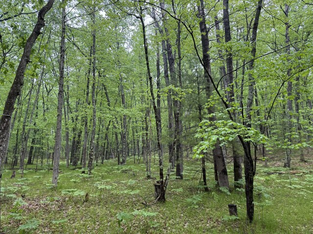 8073 W 10 1/2 Mile Rd, Irons, MI 49644 - photo 10