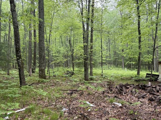8073 W 10 1/2 Mile Rd, Irons, MI 49644 - photo 8
