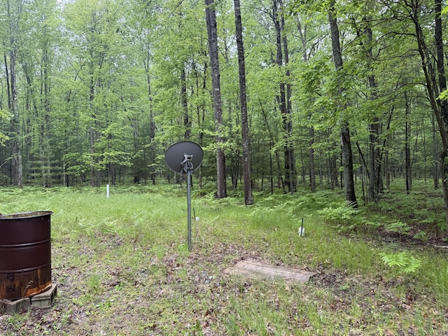 8073 W 10 1/2 Mile Rd, Irons, MI 49644 - photo 5