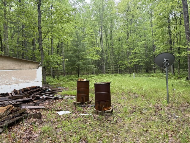 8073 W 10 1/2 Mile Rd, Irons, MI 49644 - photo 12