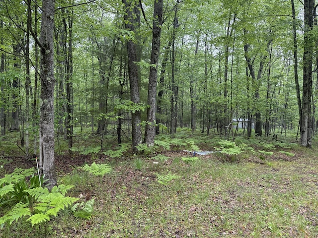 8073 W 10 1/2 Mile Rd, Irons, MI 49644 - photo 3