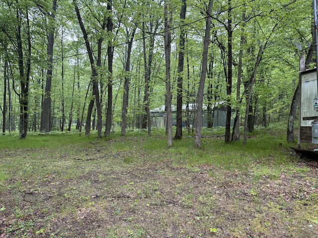 8073 W 10 1/2 Mile Rd, Irons, MI 49644 - photo 6